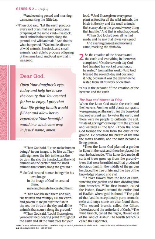 NLT THRIVE Devotional Bible for Women (Hardcover)