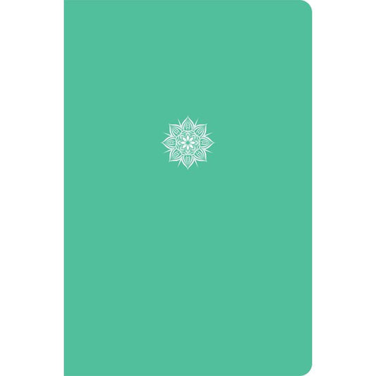 CSB Everyday Study Bible, Mint Color-Pop, Global