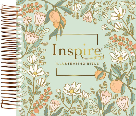NLT Dayspring Inspire Illustrating Bible, Filament Edition