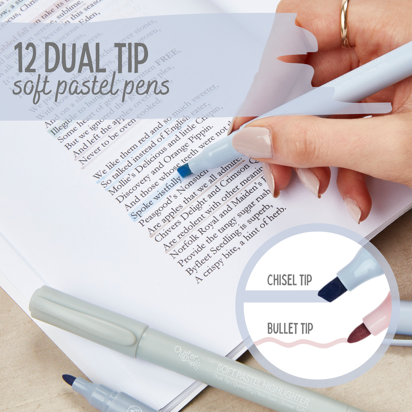 12 Pack Pastel Dual Tip Highlighters