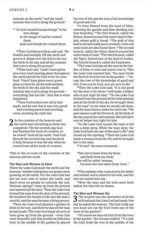 NLT Thinline Reference Bible, Filament Enabled Edition