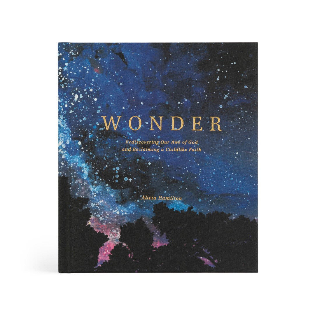 Wonder: Rediscovering Our Awe Of God