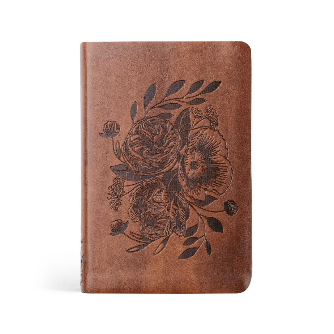 NLT Compact Bible: Aurora Theme
