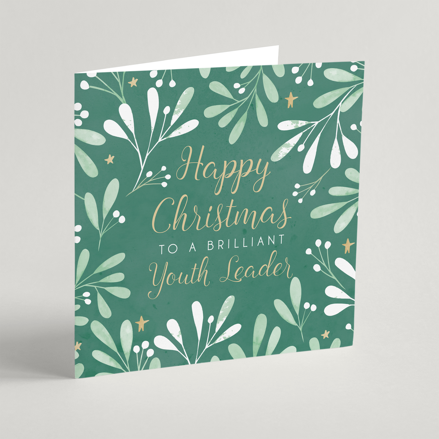Happy Christmas to a Brilliant Youth Leader (2023) Single Christmas Card