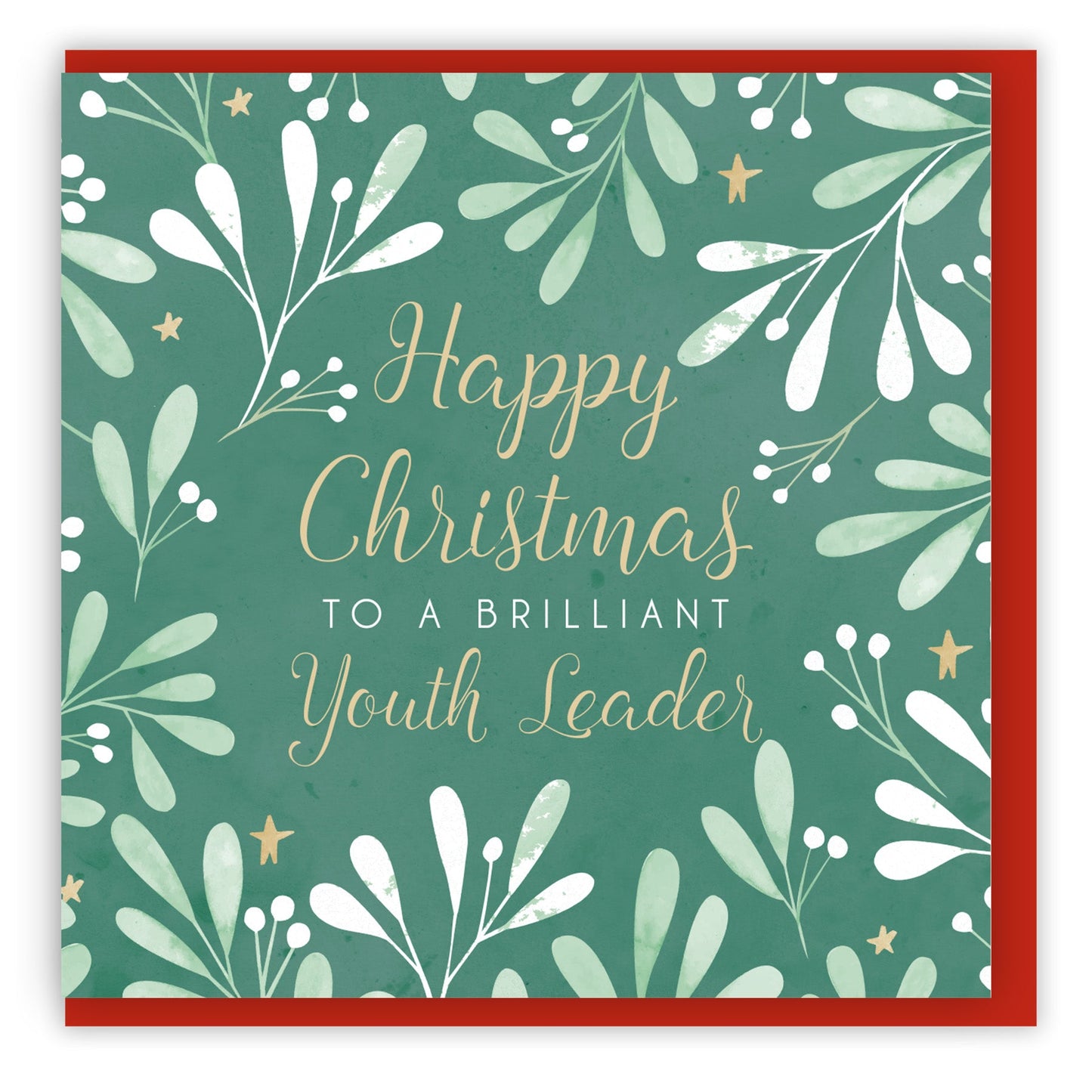 Happy Christmas to a Brilliant Youth Leader (2023) Single Christmas Card